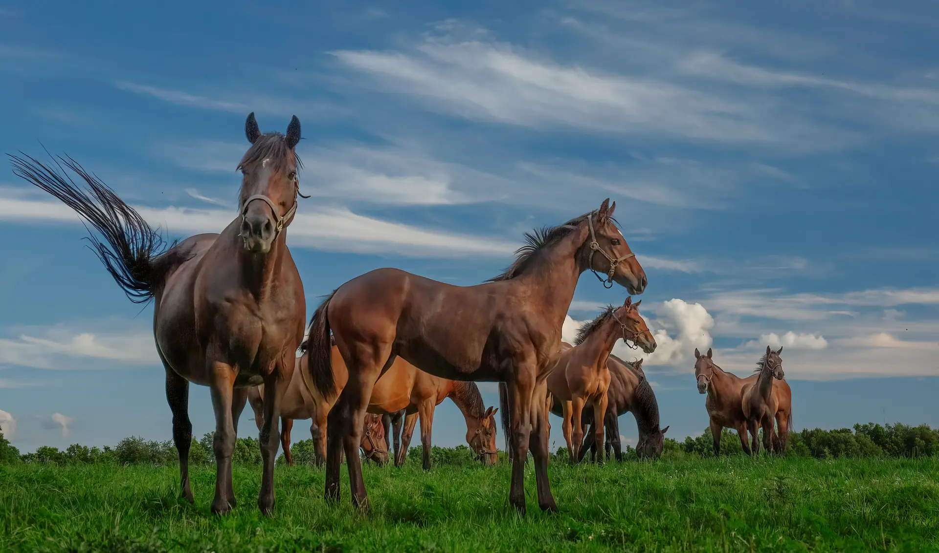 Lexington, Kentucky - Professional junk removal services